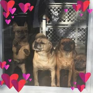 Meet your Posher, Martha